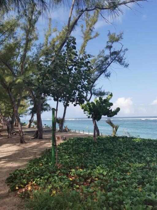 Beau T3 Litchi Vue Ocean Piscine Apartamento Saint-Gilles-les Bains Exterior foto