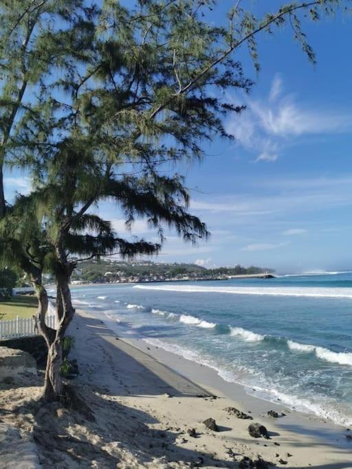 Beau T3 Litchi Vue Ocean Piscine Apartamento Saint-Gilles-les Bains Exterior foto